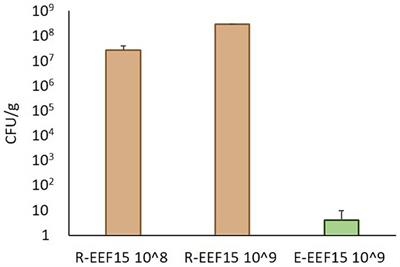 Conjugal plasmid transfer in the plant rhizosphere in the One Health context